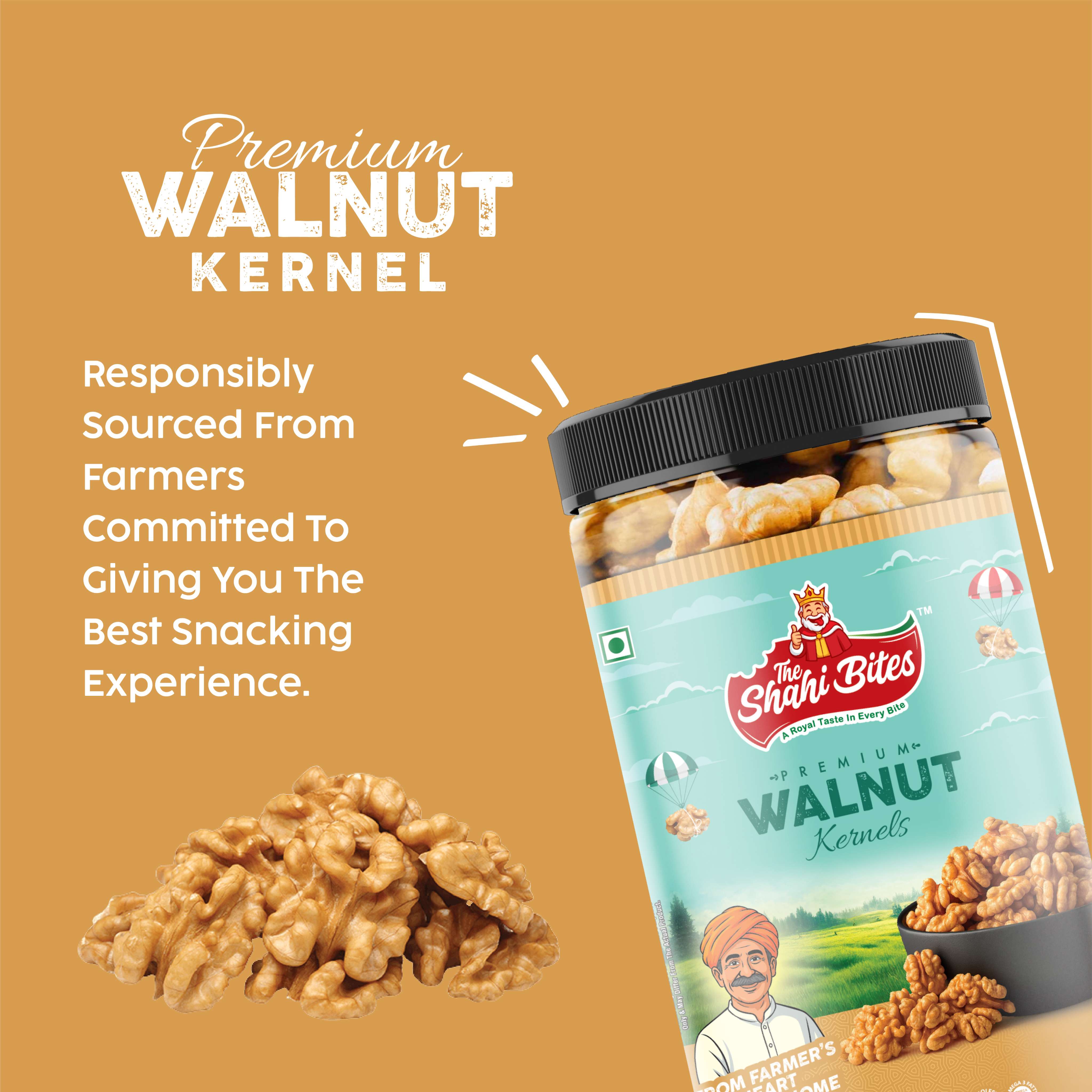 Shahi Bites Big Walnut In-Shell – 250gm